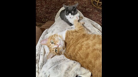 Episode 3037 CWSA 12/05/25