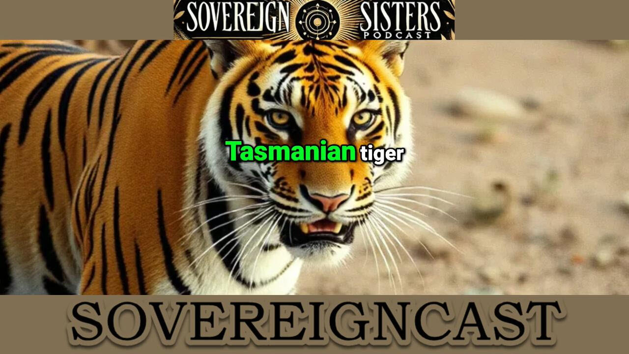 Uncovering the Mystery of the Thylacine: Are They Still Alive?