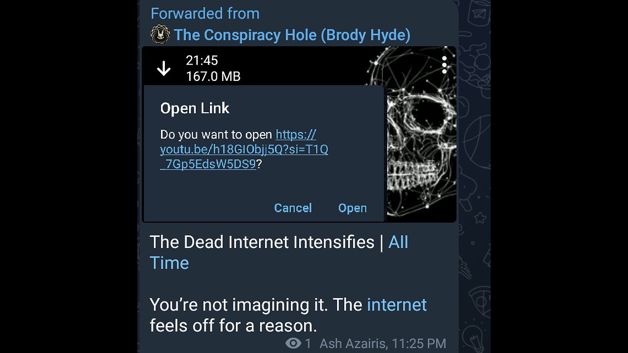 Documentary: Dead Internet Persists