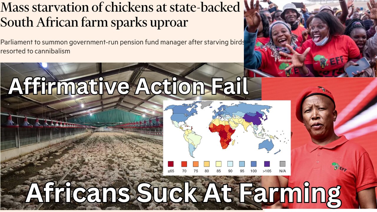 South Africa Agricultural Disaster. South Africa In Decline. A lesson For The West?
