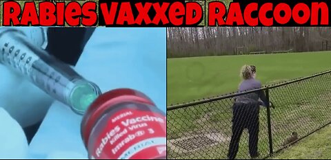 Wild Animals getting Slaughtered after Vaccination
