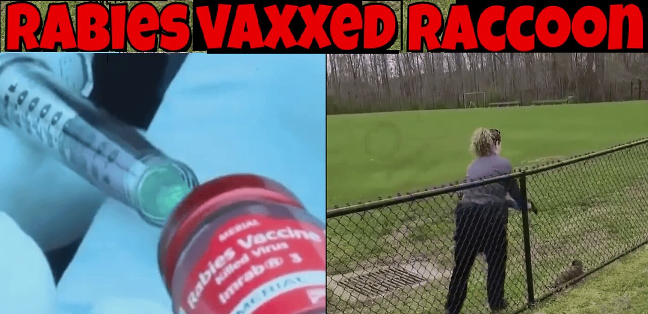 Wild Animals getting Slaughtered after Vaccination