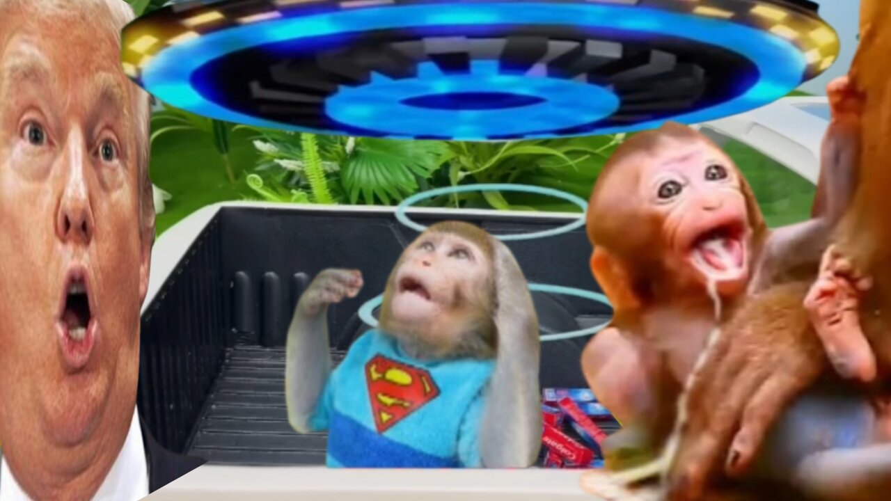 UFO catch the Kiki monkey|| animalht video|| monkey Kiki happy moment..