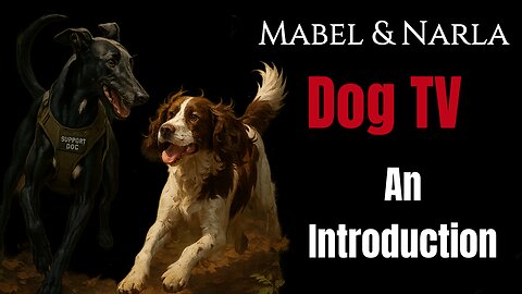 Dog TV: Mabel & Narla | A Message For Your Dog | TV For Lonely Dogs