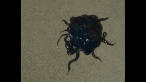 "Health Alert: The Living Black Goo – How to Safely Maintain Your Body's Health"