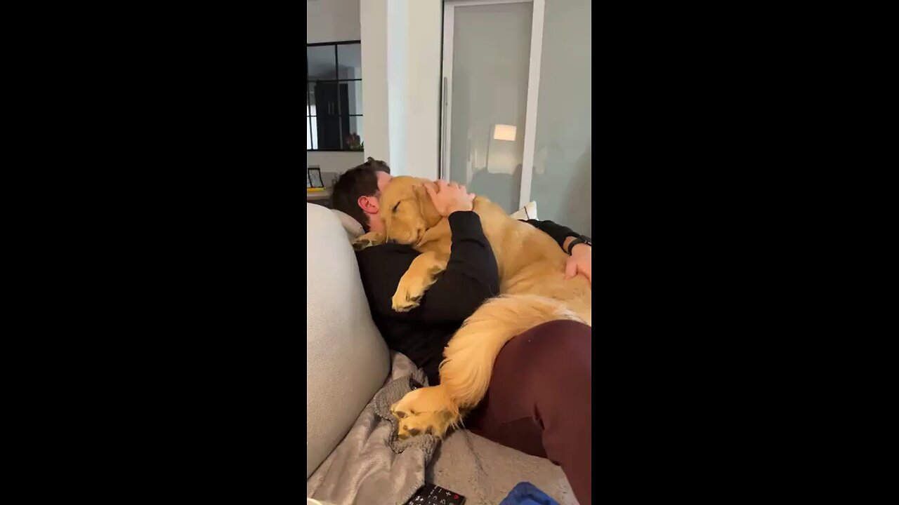 My boyfriend adopted a dog and it won’t leave him now😍 #adoptdog