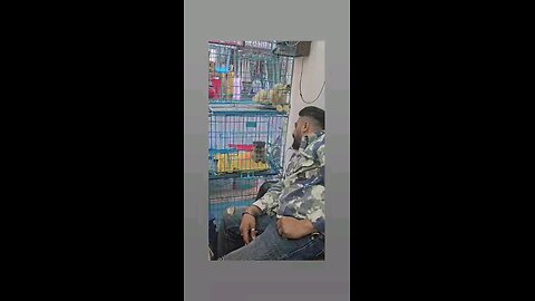 कितना प्यारा है पप्पी