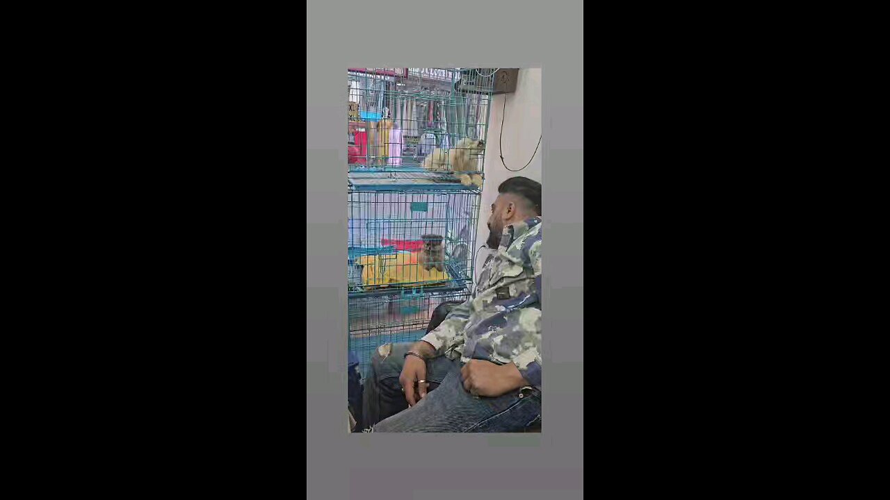 कितना प्यारा है पप्पी