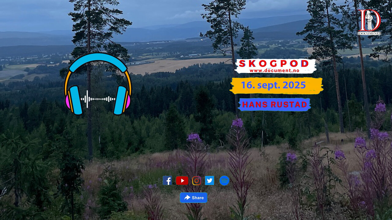 Skogpod 16. september 2025