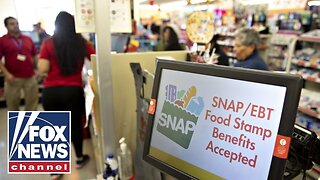 ‘CORRUPT SYSTEM’: Illegal immigrants’ use of SNAP benefits revealed