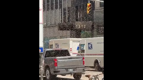 Been swarms Manhattan
