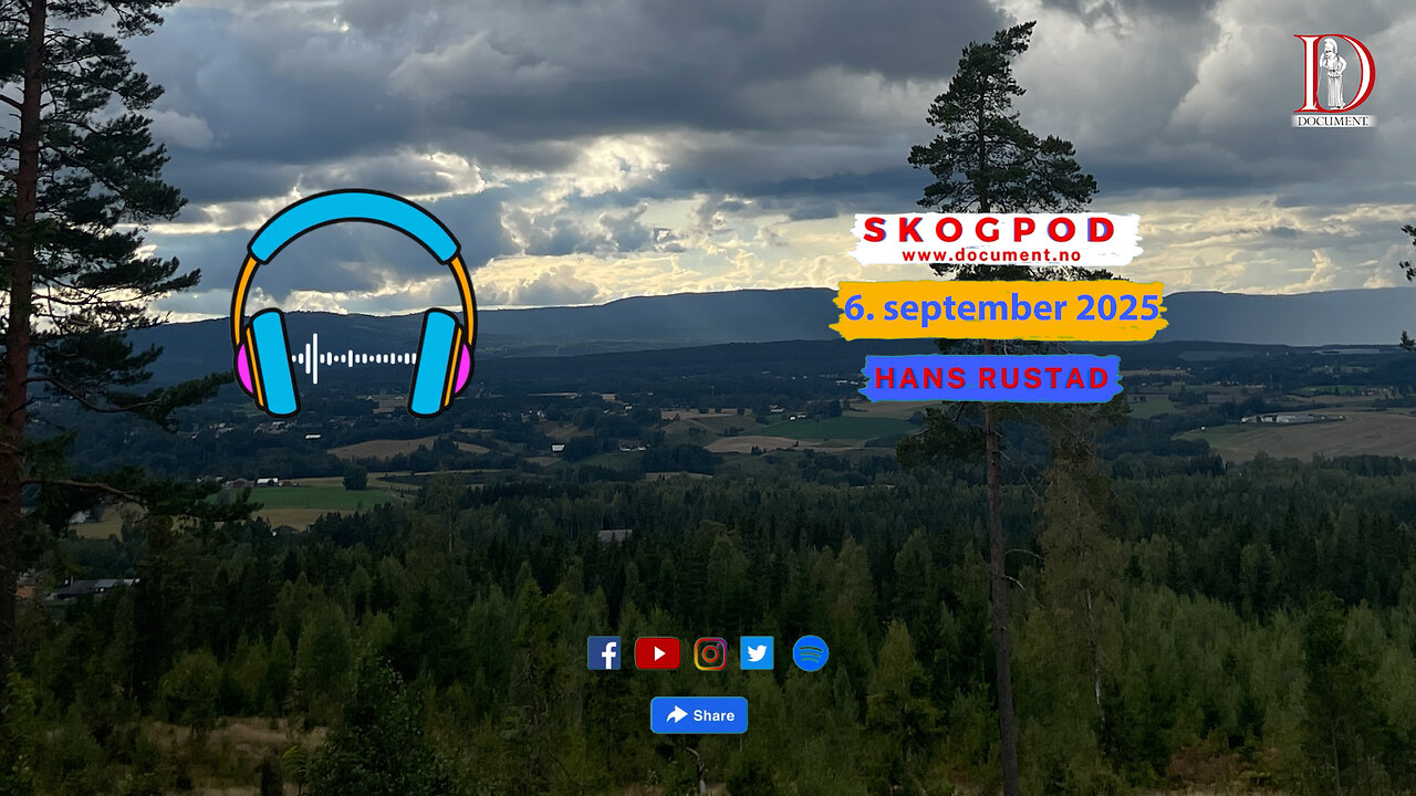 Skogpod 6. september 2025