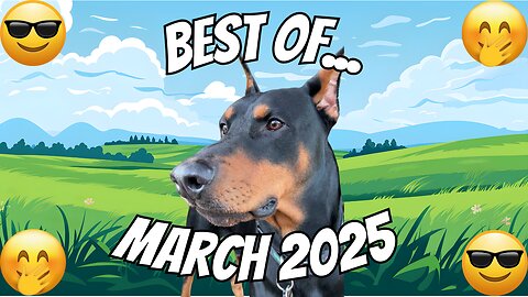 Best Of March 2025: VadertheDobie Edition