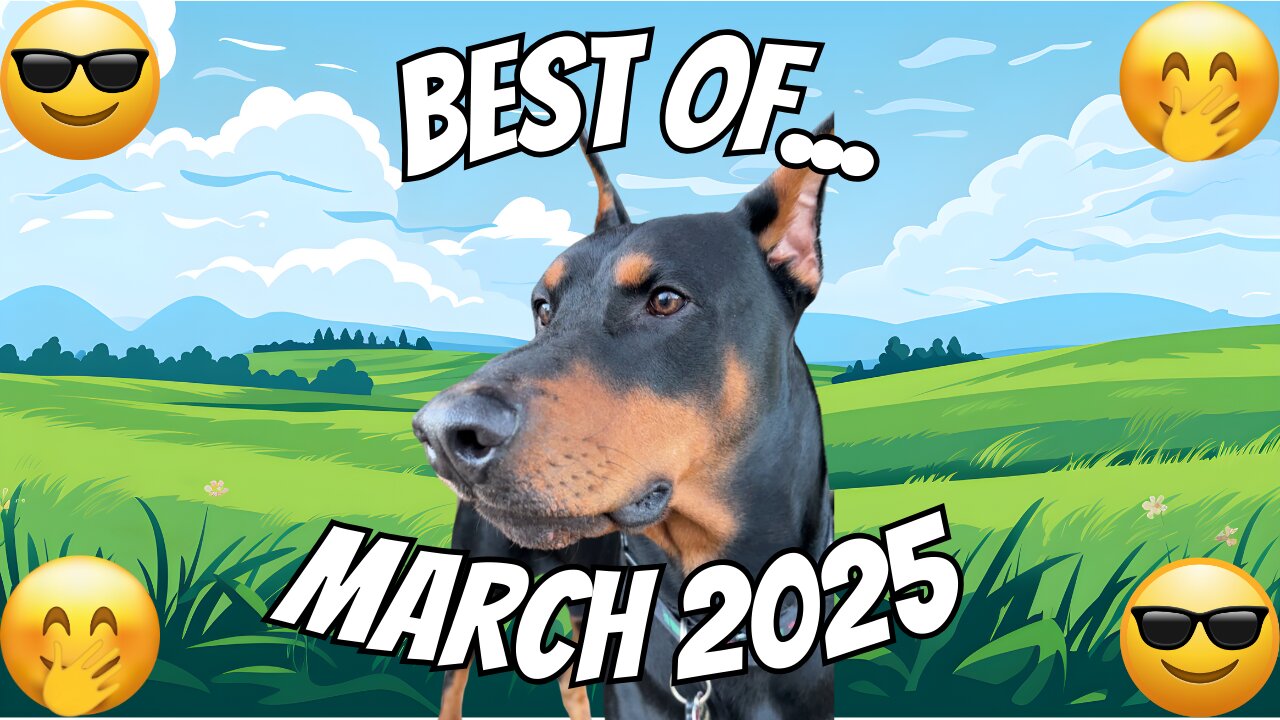 Best Of March 2025: VadertheDobie Edition