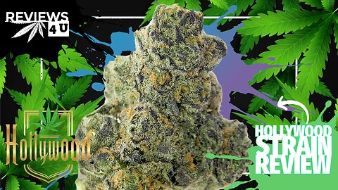 HOLLYWOOD (STRAIN REVIEW) | REVIEWS 4 U - BUD LAFLEUR