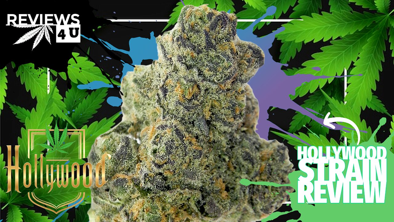 HOLLYWOOD (STRAIN REVIEW) | REVIEWS 4 U - BUD LAFLEUR