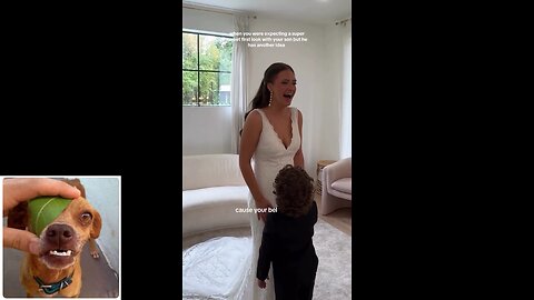 Funny videos compilation 58