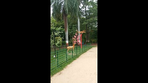 sayaji garden 🏡
