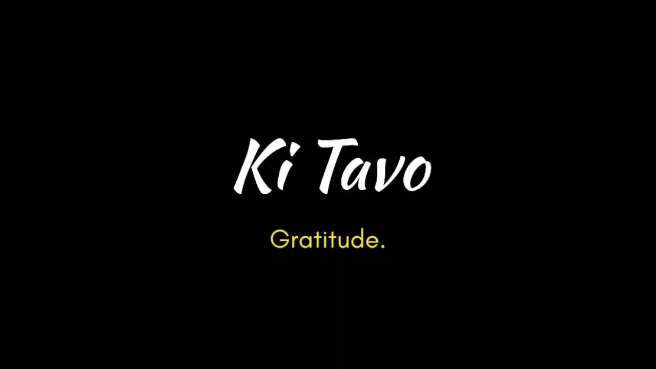 Ki Tavo - Gratitude