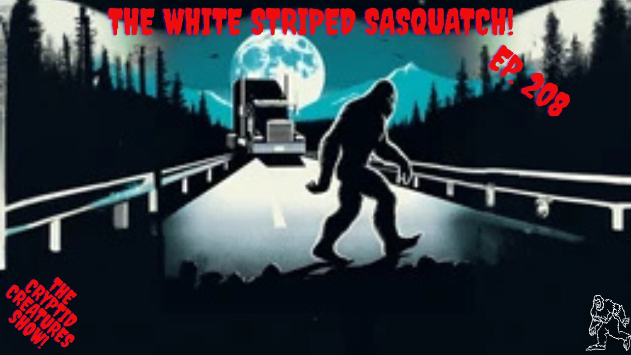 The White Striped Sasquatch! EP. 208