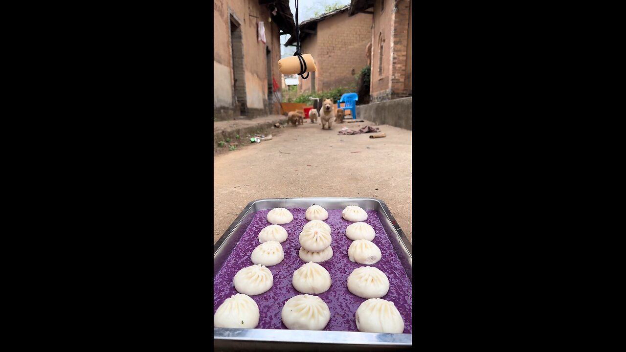 Today's breakfast is steamed stuffed buns.
