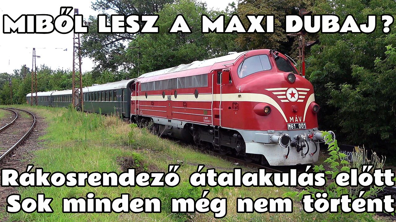 2024.07.03. Rákosrendező Maxi-Dubaj projekt. Teljes körkép négy hónap után. Kis változás már látható