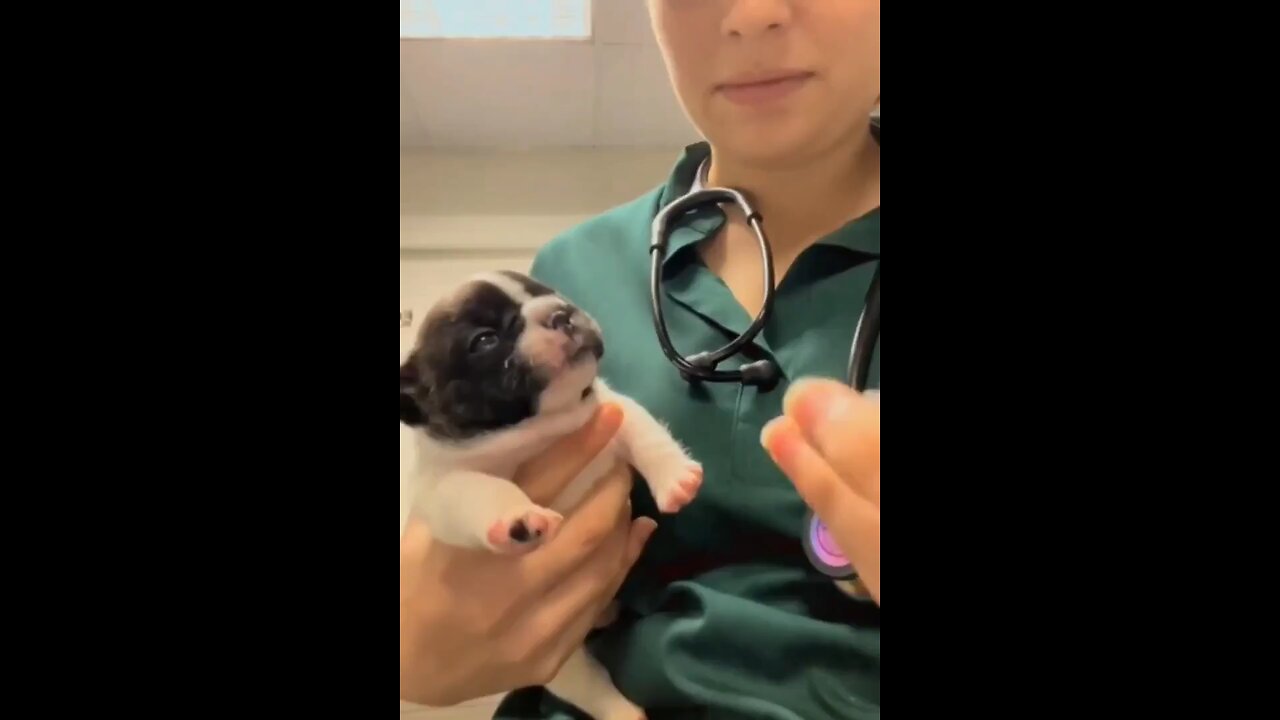 Puppy's reaction to taking a medicine for the first time..🐶🐾💊😊😅