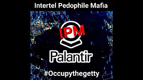 CEO of Palantir Alex Karp #INTERTELPALATIRMAFIR @IPM