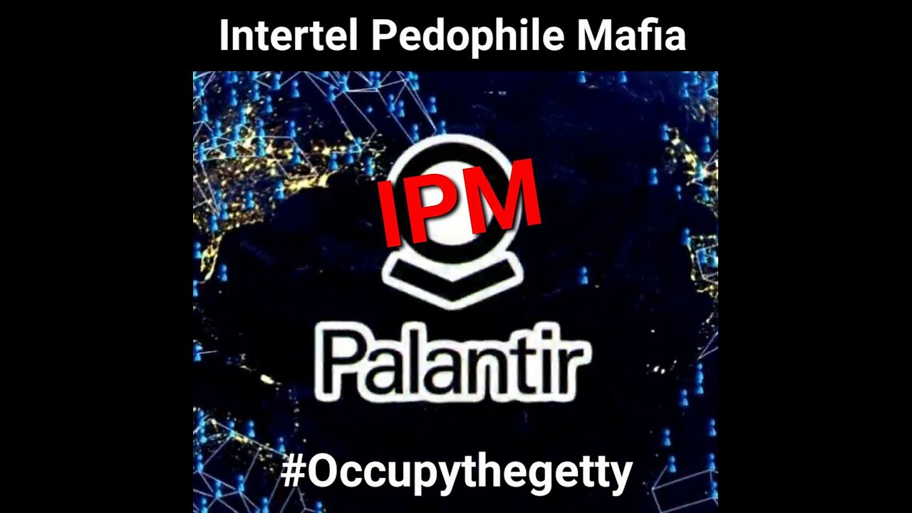 CEO of Palantir Alex Karp #INTERTELPALATIRMAFIR @IPM