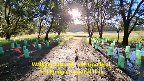 Walking Around Lake Goollelal. Yellagonga Regional Park, Perth. Australia