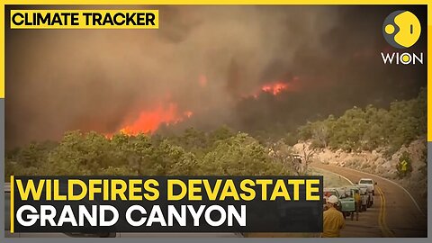 Satellite Imagery Shows Grand Canyon Fire Spread | WION Climate Tracker