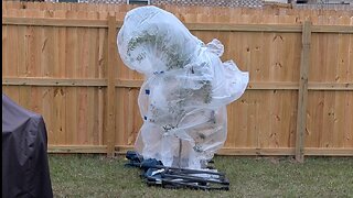 The ART OF MUMMIFICATION