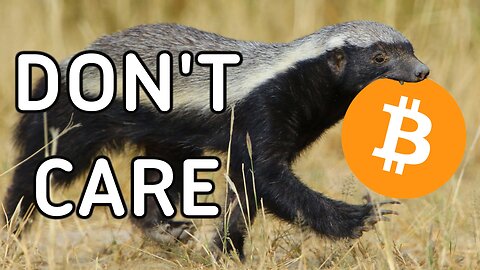 Will Institutional Adoption Ruin Bitcoin? Orange Honey Badger Don’t Care - Ep.263