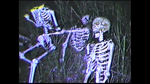 Plastic Skeletons.VHS