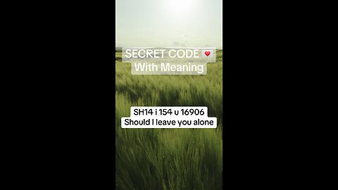 Secret code with meaning SH14 i 154 u 16906