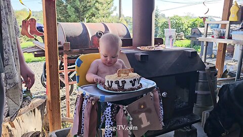 Graham Family Farm: CJ's 1st Birthday Party