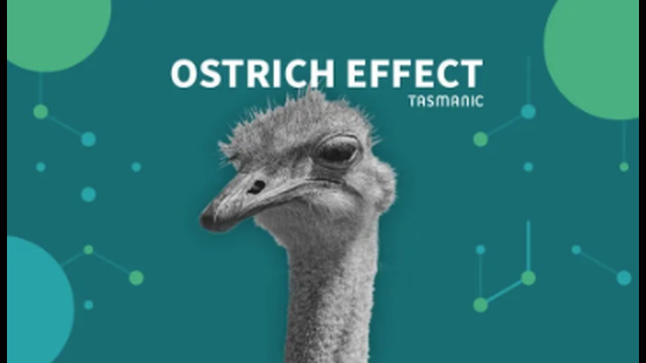 BC Ostrich