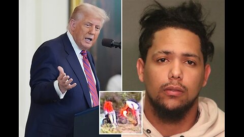 Trump OUTRAGED after migrant allegedly shoots CBP agent: 'Criminal invaders'