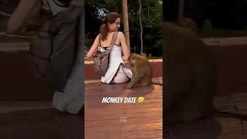 funny animals compilation #funnyanimals #animals #pets #shorts