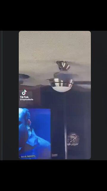 Did you know snakes could fly? I did not know this.