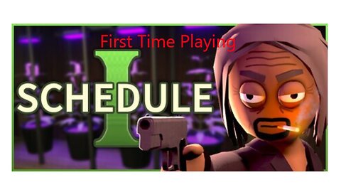 Schedule 1 First Time Playing