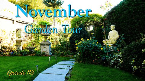 A Sunny November Garden Tour! What's Still Flowering & Getting Ready for Winter