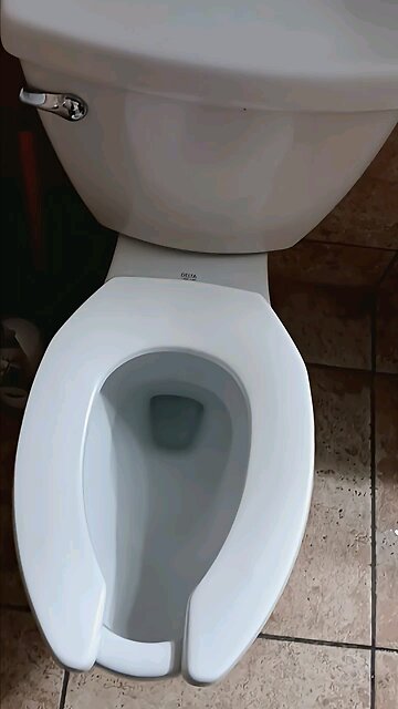 Delta Toilet At Marco's | TBrown0065