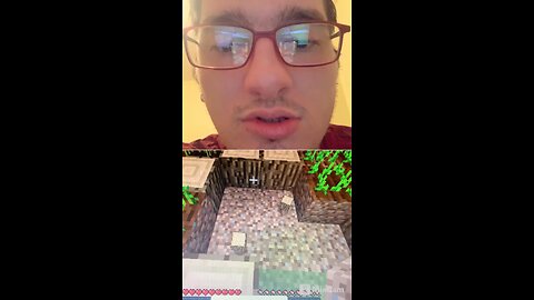 #playingminecraft