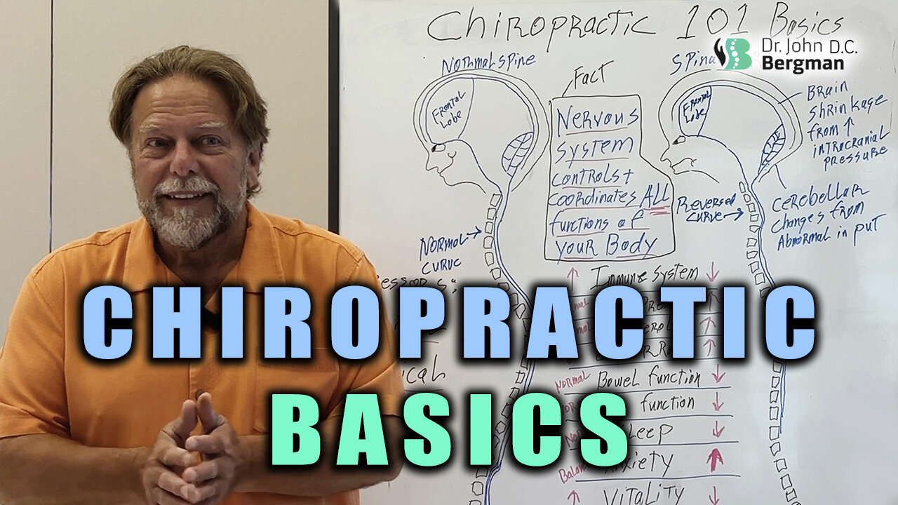 Chiropractic 101 Basics
