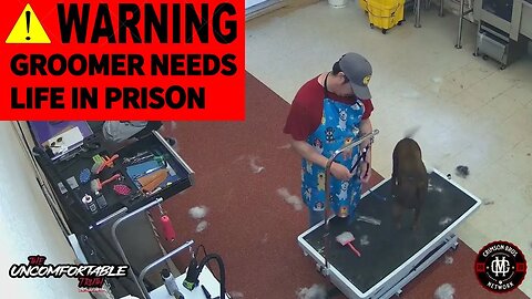 Caught on Camera: Groomer Brutally Mistreats Dogs — What They Don’t Want You to See