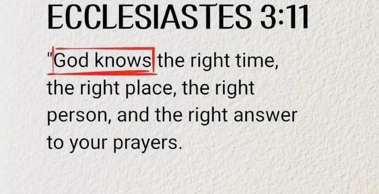 Don’t let them get away with it❗️