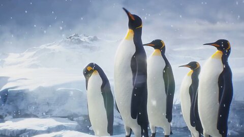 Why Antarctica Is Colder Than the Arctic