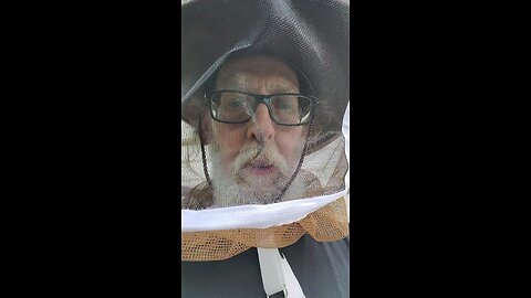 Starting a 2nd 🐝Bee hive
