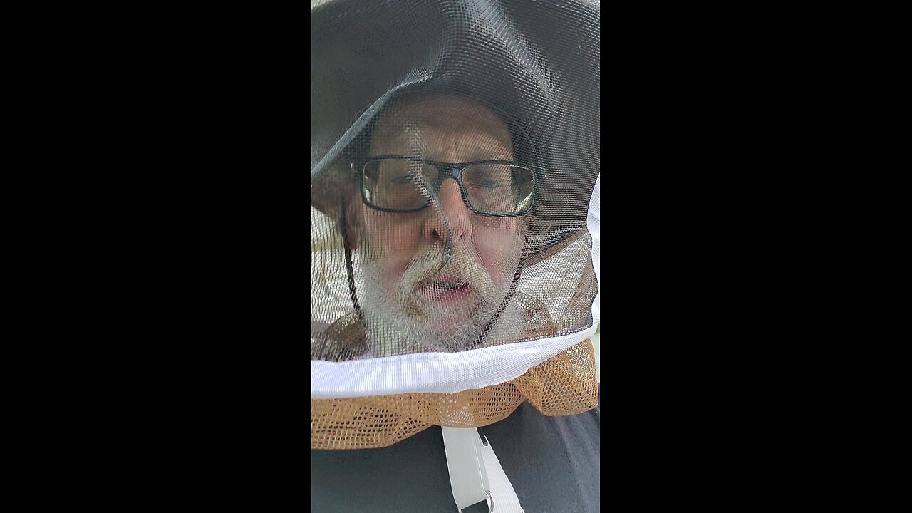 Starting a 2nd 🐝Bee hive